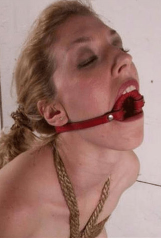 GiBeSmIr5 aus Langenhagen, 50 Jahre alt