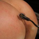 Braver Hund aus Baden-Baden, 39 Jahre alt 26646164972340534903.jpg